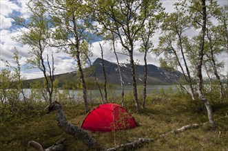 Tent on an island in Lake Laitaure, Mount Tjahkkelij in the background, Sarek National Park,