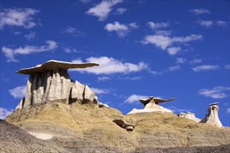 The Valley of Dreams, New Mexico, USA, Valley of Dreams, New Mexico, USA, North America