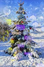 Christmas tree in the snow, Christmas tree, winter landscape, Christmas motif, Christmas, Christmas