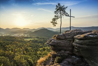 Sandstone rock with pine tree and summit cross, Rötzenfelsen, sunrise, Gossersweiler-Stein,