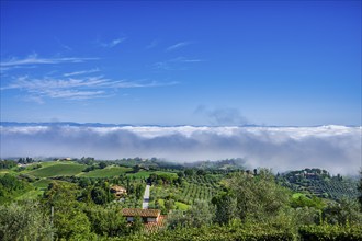 Landscape near Montaione, Tuscany, Italy, Europe