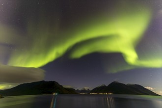 Northern Lights, (Aurora borealis) at a fjord near Skjiervoya, September 2024, Lapland, Finnmark,