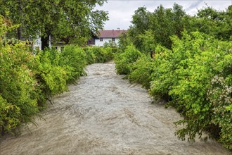 A heavily flooded river carves its way through a densely overgrown green landscape with houses,