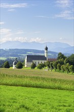 Pilgrimage church of St Marinus and Anian in Wilparting, cornfield, avenue, meadow, municipality of