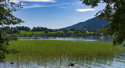 Nature and landscape around Lake Tegernsee, Bavaria, Germany, Europe