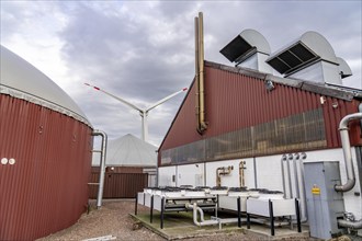 Biogas plant produces gas from various biomass, electricity is generated in combined heat and power