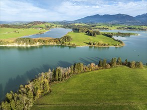 Aerial view of lake Forggensee, near Dietringen, Ammergauer Alpen, Allgaeu, Bavaria, Germany,