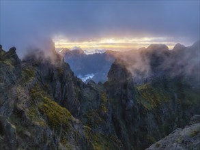 Mountains on sunset covered in fog and clouds with blooming Cytisus shrubs. Near Pico de Arieiro,