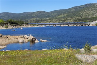 A picturesque lake with a bridge in the background, surrounded by green hills and yellow flowers in