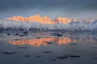 Morning light, mountains, snowy, reflection, sea, coast, fjord, winter, Lyngen Alps, Norway, Europe