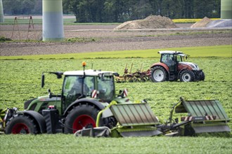 Tractor, mowing grass, turning the grass, near Issum, Lower Rhine, North Rhine-Westphalia, Germany,