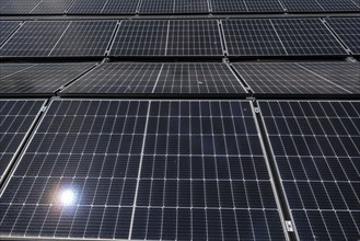 Solar panels, solar modules, a larger solar system