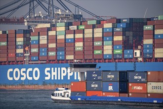 Harbour tug pushes the container freighter Cosco Shipping Leo to its berth at Hutchison Ports ECT