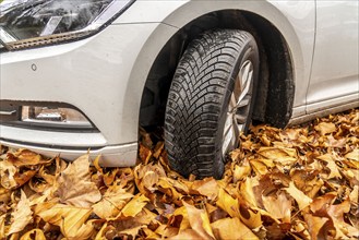 Driving on autumn leaves, slippery surfaces, leaves, grip from winter tyres