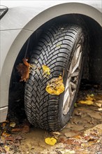 Driving on autumn leaves, slippery surfaces, leaves, grip from winter tyres