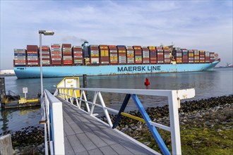 Harbour tugs bring the container freighter Madison Maersk from its berth at the RWG Container