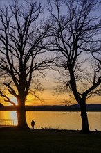 Sunset at the Lake Ammer, near Aidenried, Fünfseenland, Upper Bavaria, Bavaria, Germany, Europe