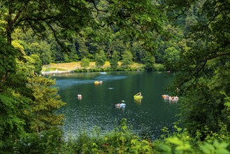 Gemündener Maar, Vulkaneifel, Vulkansee, Eifel, Rhineland-Palatinate, Germany, Europe