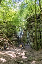 The Devil's Gorge, narrow, accessible gorge of sandstone rocks, with steep rocky gorges, near