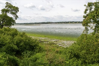 Landscape view to Waldringfield over River Deben at very low tide, Sutton, Suffolk, England, UK