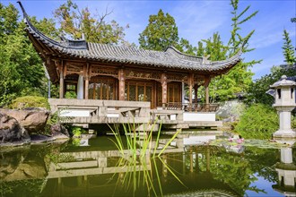 House with a small lake in the foreground in the Chinese garden in Stuttgart