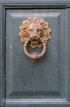 Lion's head as a door knocker, Galatina, Apulia, Italy, Europe