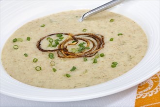 Swabian cuisine, green spelt soup, healthy, vegetarian, regional, soup served in soup plates,