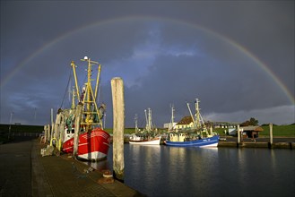 Fishing boats in the harbour of Tammensiel, rainbow, Pellworm Island, Schleswig-Holstein Wadden Sea