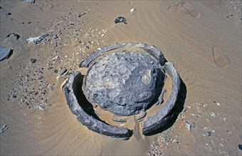 Silicified marble sphere, Libyan Desert, Egypt, Africa