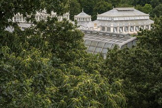 Treetops and Temperate House, largest Victorian glasshouse in the world, Royal Botanic Gardens (Kew