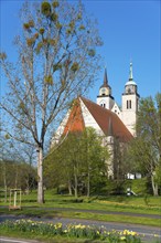 Church with two towers and a tree in the foreground under a blue sky, St John's Church, Magdeburg,