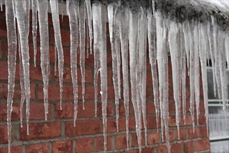 Europe Germany Lower Saxony Stade district, snow, winter, icicles, Federal Republic of Germany