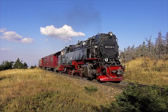 HSB, Harz narrow-gauge railway, locomotive, steam engine, smoke, HSB railway, Brockenbahn, Harz,