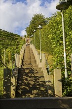 The Spitzhaus staircase is located in the Saxon town of Radebeul. It connects the Hoflößnitz