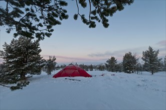 Tent in mountain landscape, Sarek National Park, World Heritage Laponia, Norrbotten, Lapland,