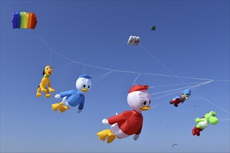 Kite festival, flying kites on Schönberg beach, Schleswig-Holstein, Germany, Europe