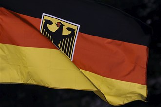 Symbolic photo. The national flag of the Federal Republic of Germany with a federal eagle