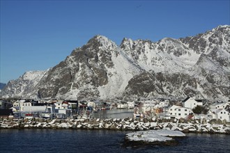 Henningsvaer on the Lofoten Islands in winter, Henningsvaer, Norway, Scandinavia, Europe