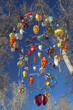 Denver, Colorado, An elaborate lantern hangs in the trees at the Denver Zoo