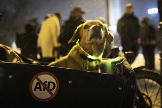 Recordings as part of the demonstration Auf die Strasse! Against the AfD's Nazi deportation plans