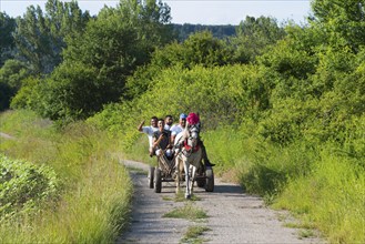 A group of people travelling in a horse-drawn carriage on a rural road surrounded by trees, Golyamo