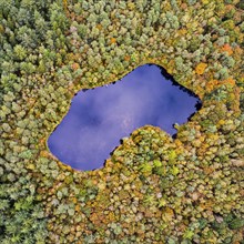 Lake Diana, Ahlhorn fish ponds, Ahlhorn, Lower Saxony, Germany, Europe