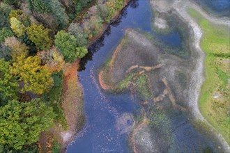 Mixed forest in autumn, colouring, aerial view, forest, autumnal, Ahlhroner Fischteiche,