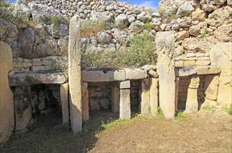 Ggantija neolithic megalithic 5500 years old prehistoric temple complex site Gozo, Malta, Europe