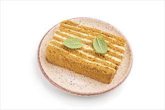 Homemade honey cake with milk cream and mint isolated on white background. Side view, close up