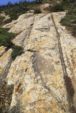 Prehistoric cart ruts tracks in limestone rock at Ta Cenc, Gozo, Malta, Europe