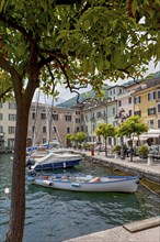 Boats in the harbour of Gargnano, Lake Garda, Province of Brescia, Lombardy, Italy, Europe