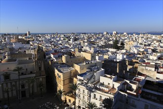 Rooftops of buildings in Barrio de la Vina, looking west from cathedral roof, Cadiz, Spain, Europe