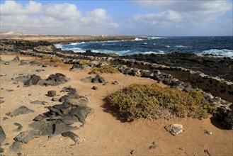 Coastline at Museo de la Sal, Salt museum, Las Salinas del Carmen, Fuerteventura, Canary Islands,