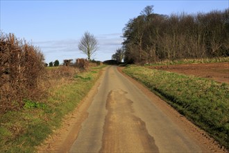 Long narrow straight tarmac country road in winter Ramsholt, Suffolk, England, UK